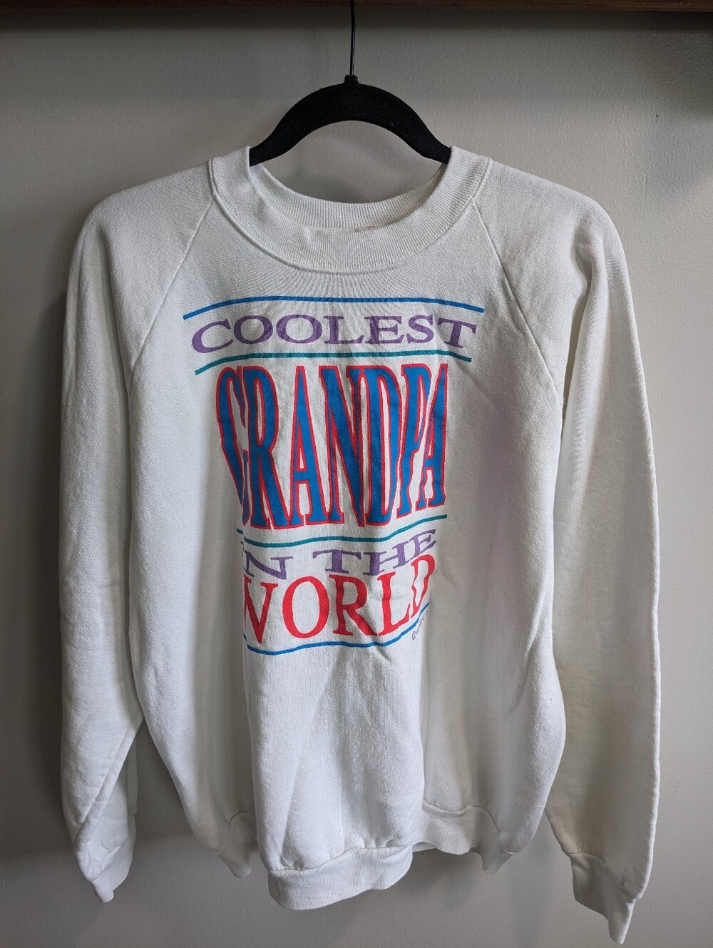 Vintage worlds coolest grandpa sweatshirt fruit of the loom 80s? Men's size xl